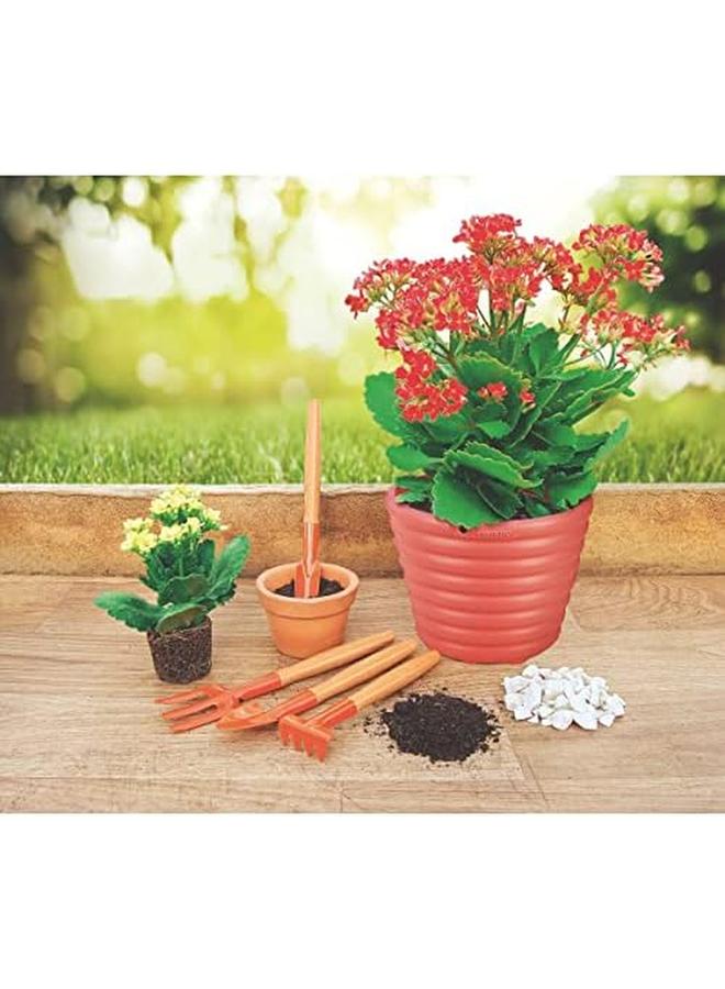 TRAMONTINA 4 Pieces Garden Tool Set With Special Carbon Steel And Wood Handle Includes Garden Trowel Plus Transplanting Trowel Plus 3 Teeth Garden Fork Plus 4 Teeth Cultivator  - Image 3