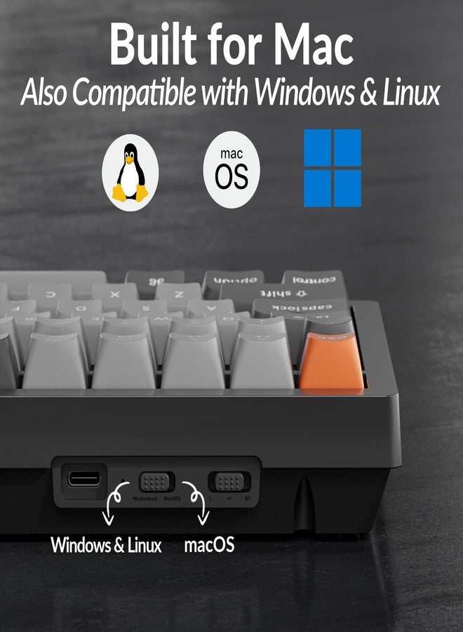 Keychron كيبورد ميكانيكي لاسلكي/سلكي Keychron K4 Max، تصميم 96% اتصال Bluetooth بتردد 2.4 GHz، مفاتيح PBT غير متألقة بإضاءة خلفية بيضاء متوافقة مع ماك ويندوز لينوكس - Image 5