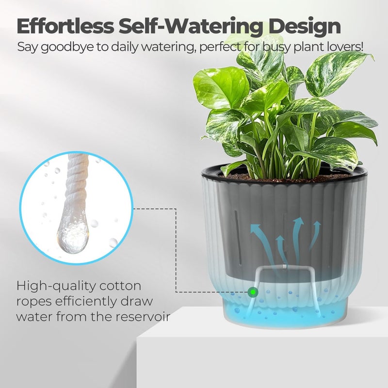 T4U 4 Inch Plant Pots Self Watering, 6 Pack African Violet Pots, Small Plant Pots for Plants, Small Indoor Plant Pot, Self Watering Planter for African Violet, Succulents (6 Pack, 4", White) - Image 3