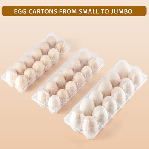 YIFIHGE 60 Pack Duck Egg Cartons Jumbo Egg Cartons Cheap Bulk with Sticker Labels Clear Empty Plastic Egg Containers Extra Large for Home Ranch Farm Commercial Market Display, 2×6 Grids - Image 4
