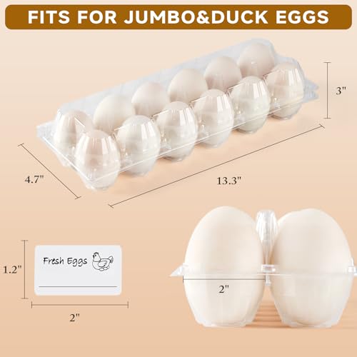 YIFIHGE 60 Pack Duck Egg Cartons Jumbo Egg Cartons Cheap Bulk with Sticker Labels Clear Empty Plastic Egg Containers Extra Large for Home Ranch Farm Commercial Market Display, 2×6 Grids - Image 2