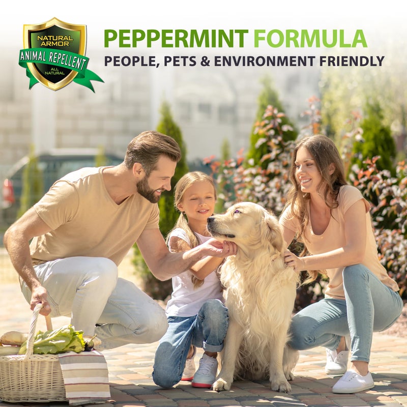 Natural Armor Animal & Rodent Repellent Spray. Repels Skunks, Raccoons, Rats, Mice, Deer Rodents & Critters. Repeller & Deterrent in Powerful Peppermint Formula â€“ 128 Fl Oz Gallon Ready to Use - Image 3