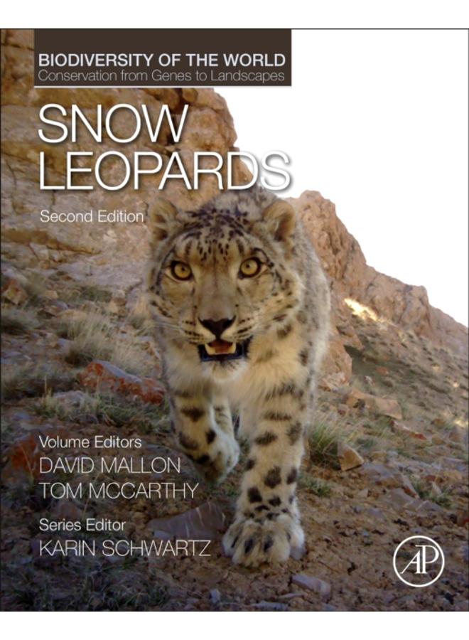 Snow Leopards 