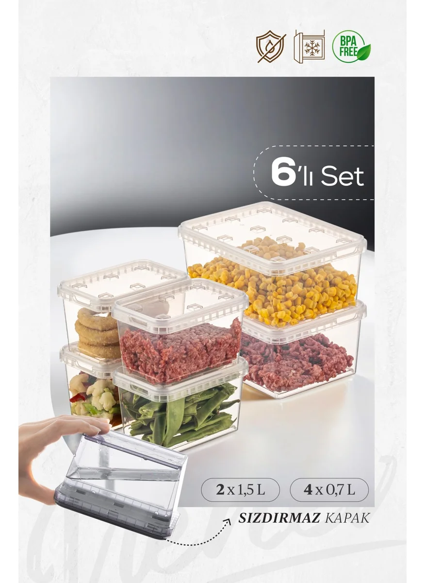 Vienev 6-pack 2x(1.5 Lt)-4x(0.7 Lt) Block Refrigerator and Deep Freezer Leakproof Storage Container Transparent