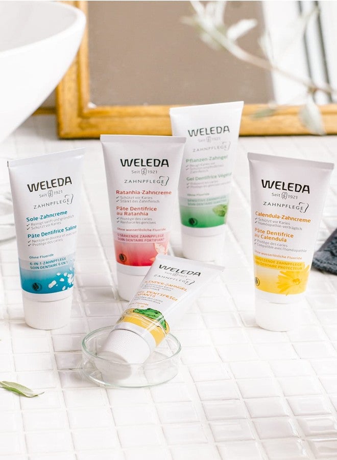 Weleda Weleda ratahnia toothpaste, 2.5-ounce (pack of 2) - Image 2