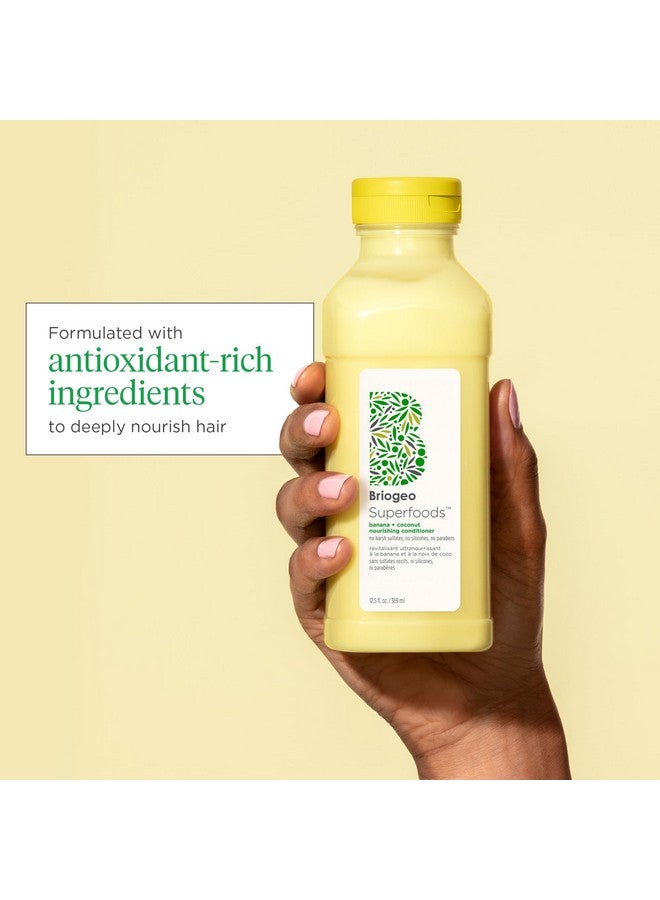 Briogeo بلسم مغذي من السوبر فودز بالموز وجوز الهند لاستعادة الشعر الباهت والجاف ويدعم صحة الشعر وفروة الرأس نباتي خالي من الفثالات والبارابين 12.5 أونصة - Image 3