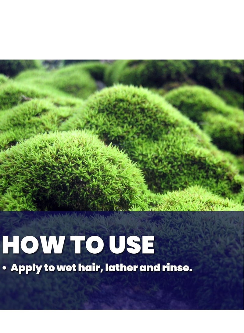 GREAT CLIPS LATITUDE 2-in-1 Shampoo + Conditioner | Daily Shampoo and Conditioner Set for Men | Promotes Full + Healthy Hair | 12oz - Image 3