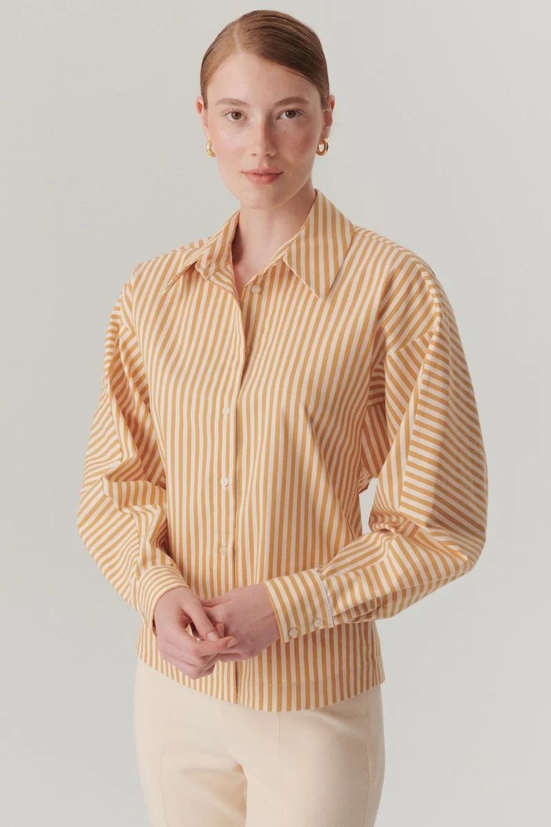 EXQUISE Cotton Striped Regular Fit Shirt with Fitted Waist