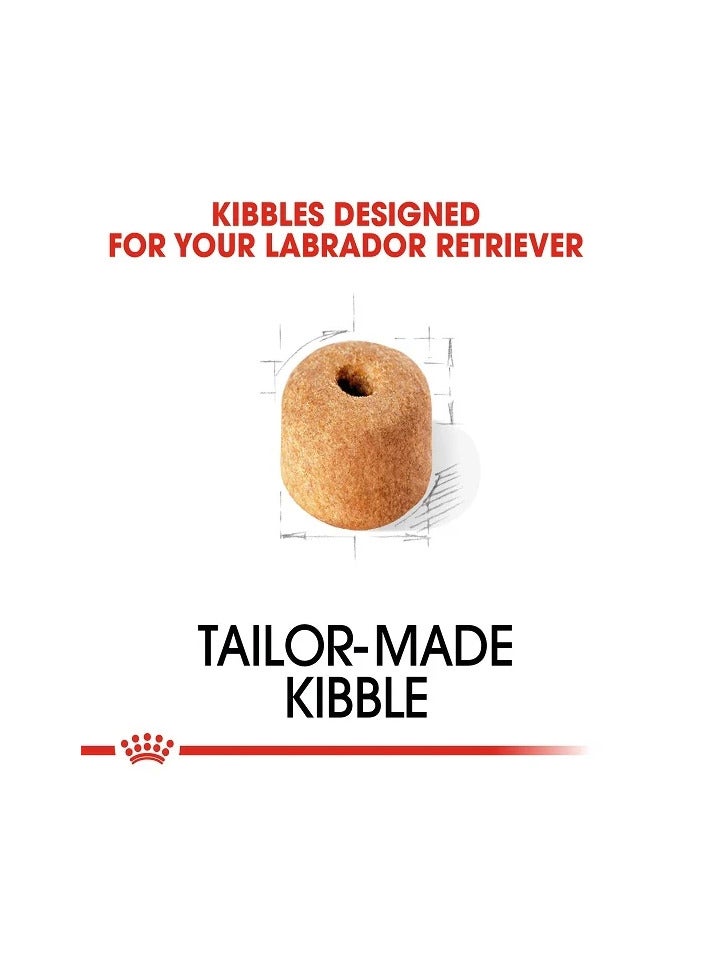 رويال كانين طعام جاف للكلاب من رويال كانين، مناسب لكلاب لابرادور ريتريفر البالغة (15 شهرًا فأكثر)، 12 كجم - Image 4