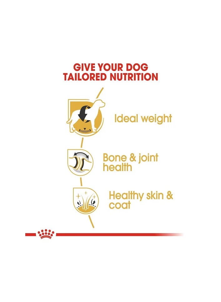 رويال كانين طعام جاف للكلاب من رويال كانين، مناسب لكلاب لابرادور ريتريفر البالغة (15 شهرًا فأكثر)، 12 كجم - Image 5