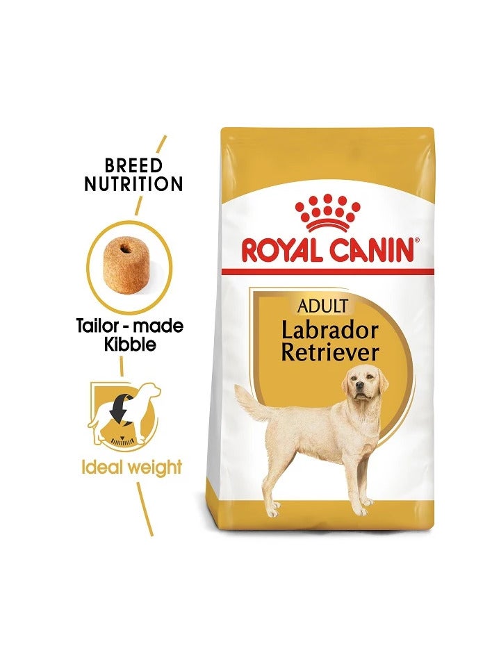 رويال كانين طعام جاف للكلاب من رويال كانين، مناسب لكلاب لابرادور ريتريفر البالغة (15 شهرًا فأكثر)، 12 كجم - Image 3