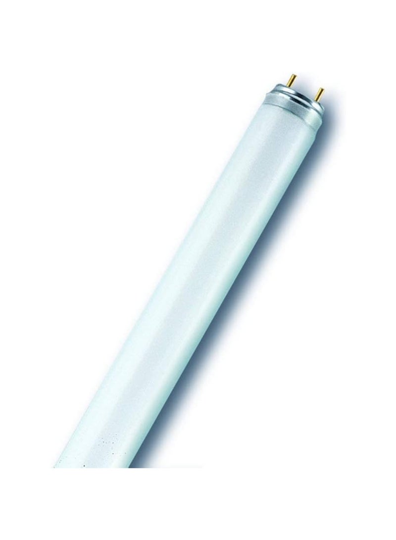 Osram/ Ledvance Fluorescent Tube Light Basic Plus T8 L 18W 4000k G13 Cool White 0.6 m- Pack of 5 - Image 2