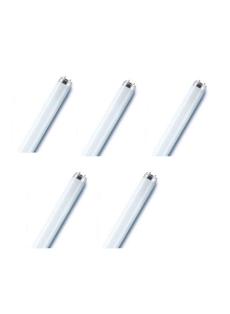Osram/ Ledvance Fluorescent Tube Light Basic Plus T8 L 18W 4000k G13 Cool White 0.6 m- Pack of 5 - Image 1