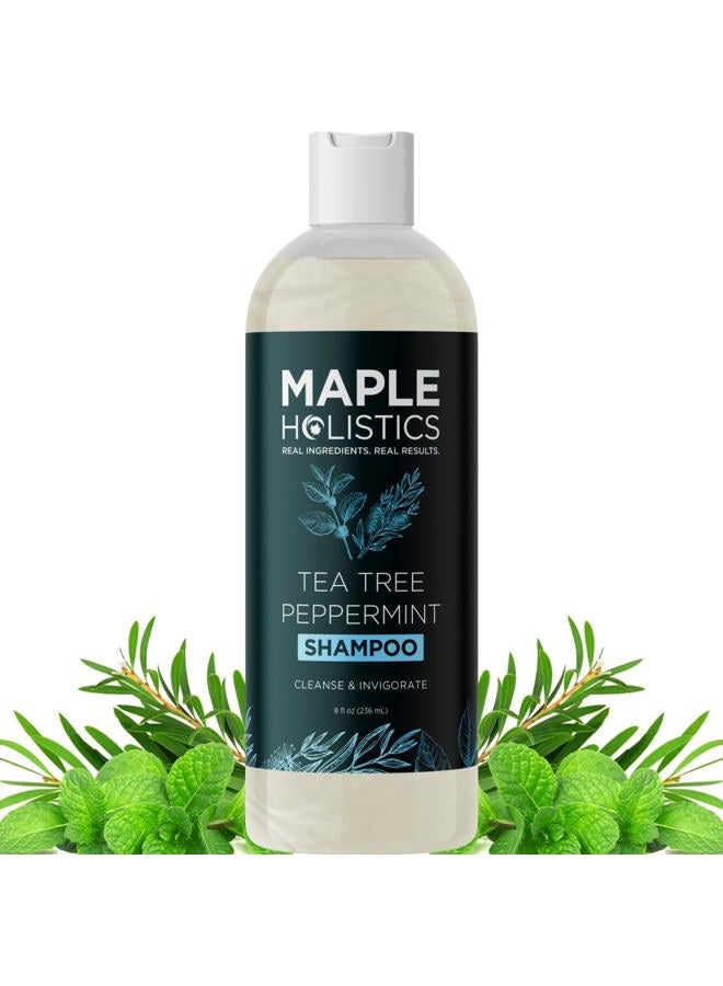 Maple Holistics Rosemary Tea Tree Mint Shampoo - Clarifying Shampoo for Build Up and Flakes with Peppermint Oil and Tea Tree Essential Oil for Dry Scalp Treatment - Deep Cleansing Peppermint Tea Tree Shampoo (8oz) - Image 1