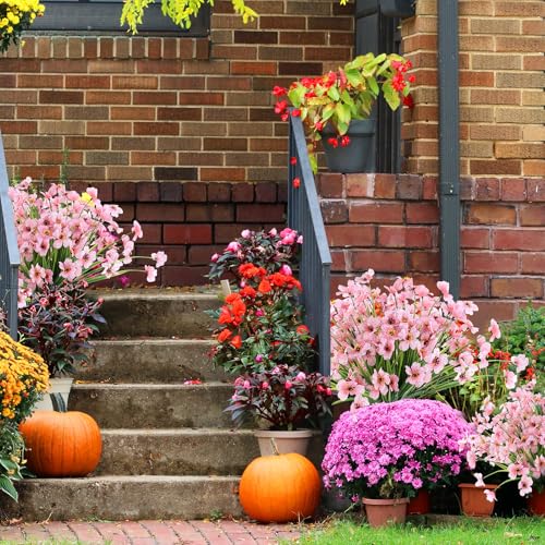 ColoPlay 24 Peach Bundles Artificial Flowers for Outdoors/Indoors Fake Flowers Plants for Indoor Outside Garden Porch Window Box Home Wedding Farmhouse - Image 4