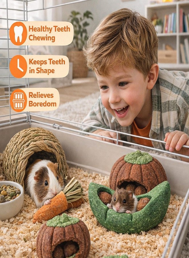 HERCOCCI 8Pcs Guinea Pig Chew Toys, Hamster Toys Prevent Excessive Teeth Growth Natural Vegetables Carrot and Timothy Grass for Guinea Pig Rabbit Chinchillas Gerbil - Image 5