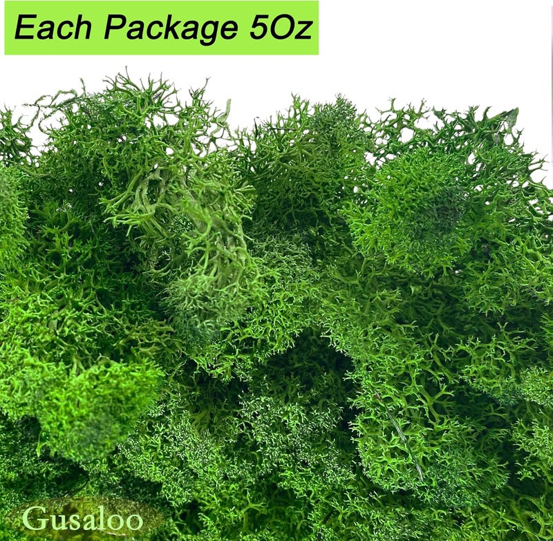 Gusaloo Preserved 5oz Moss Artificial Moss Natural Fresh Green Moss for Craft Handicraft Arts Floral Project Wall Decor Table Decor Wedding Centerpieces Garden Terrariums Decoration-MIdGreen - Image 5