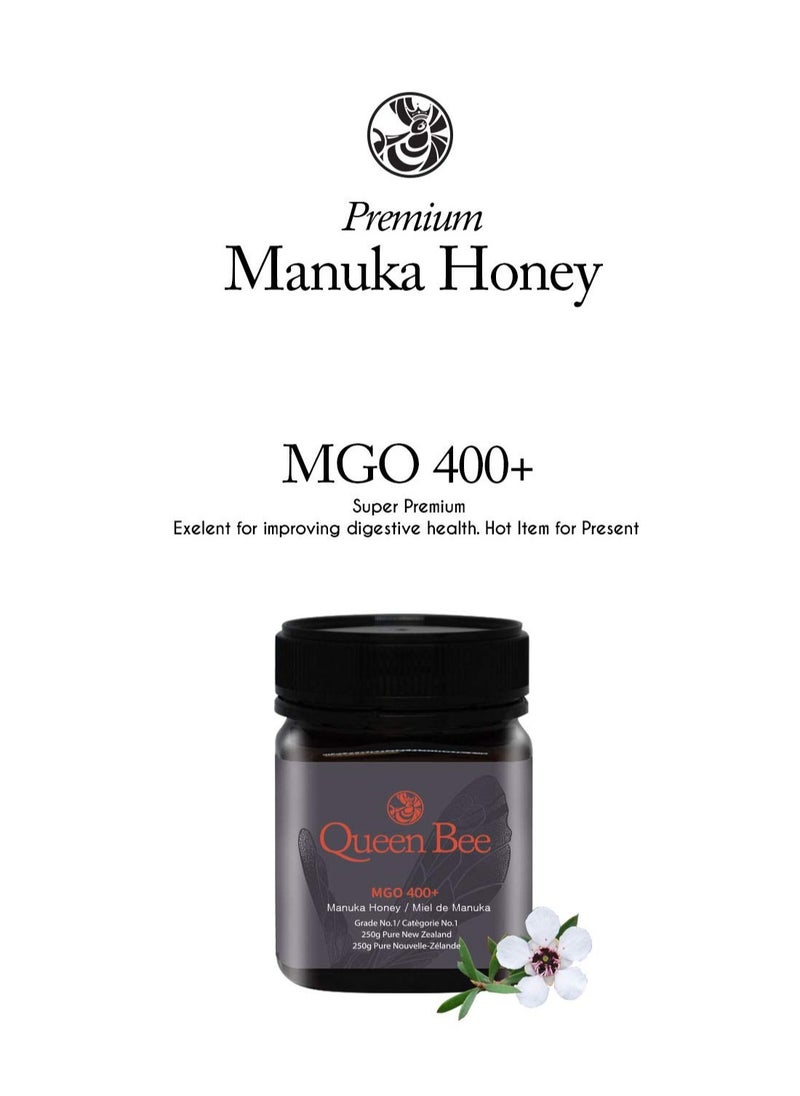 New Zealand Manuka Honey MGO 400+ (250g) - pzsku/ZACB65F43209A8EEE1101Z/45/_/1728539669/cc63d751-c173-42c7-b0bd-062814c681a9