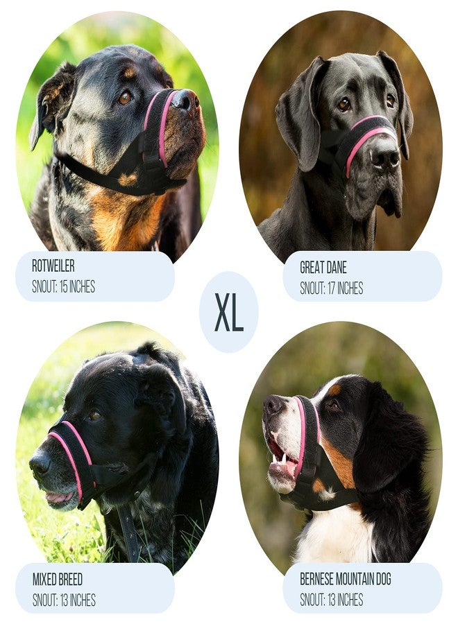 GoodBoy Gentle Muzzle Guard for Dogs - Prevents Biting and Unwanted Chewing Safely - New Secure Comfort Fit - Soft Neoprene Padding - No More Chafing - Training Guide Helps Build Bonds with Pet (XL, Pink) - Image 3