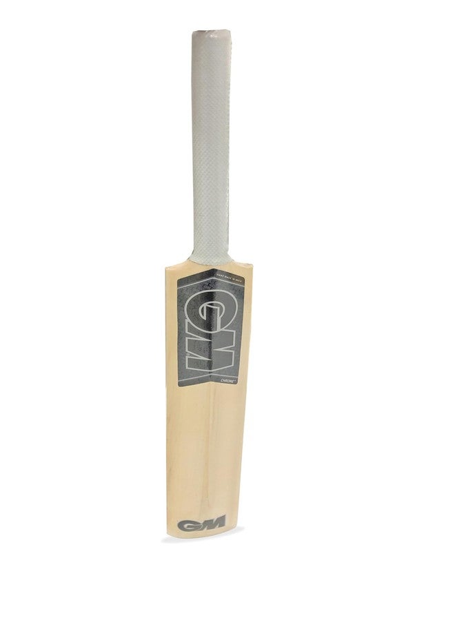 RSINC MS Dhoni Autographed Cricket Bat 16 inch Display Model | Award-Worthy Collector's Item | Limited Edition Award Piece | Cricket Bat - 16 inch Display Edition for Awards & Rewards - Image 5