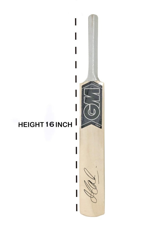 RSINC MS Dhoni Autographed Cricket Bat 16 inch Display Model | Award-Worthy Collector's Item | Limited Edition Award Piece | Cricket Bat - 16 inch Display Edition for Awards & Rewards - Image 4