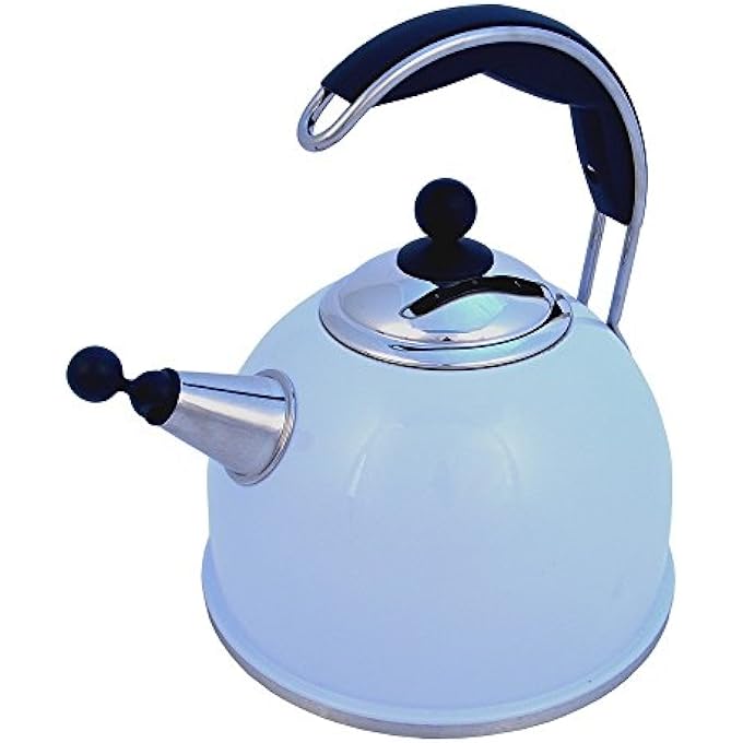 Stainless Steel Whistling Kettle Duck Egg
