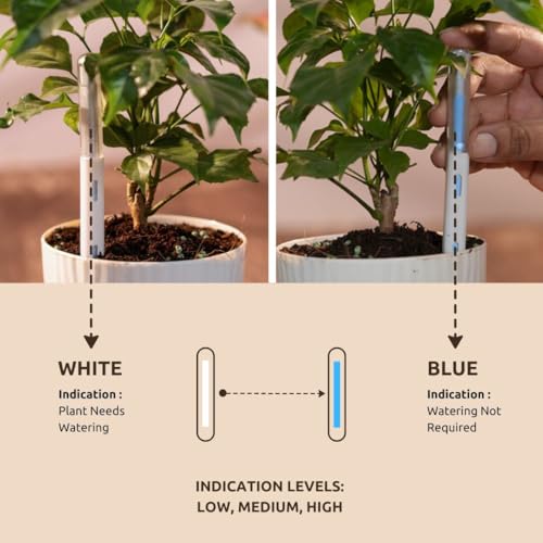 Nurturing Green® Soil Water Level Meter for Plants | Continuous Monitoring, Battery-Free Design, Refillable Core, Ideal for Houseplants, Outdoor & Indoor Use (Set of 5) - Image 2