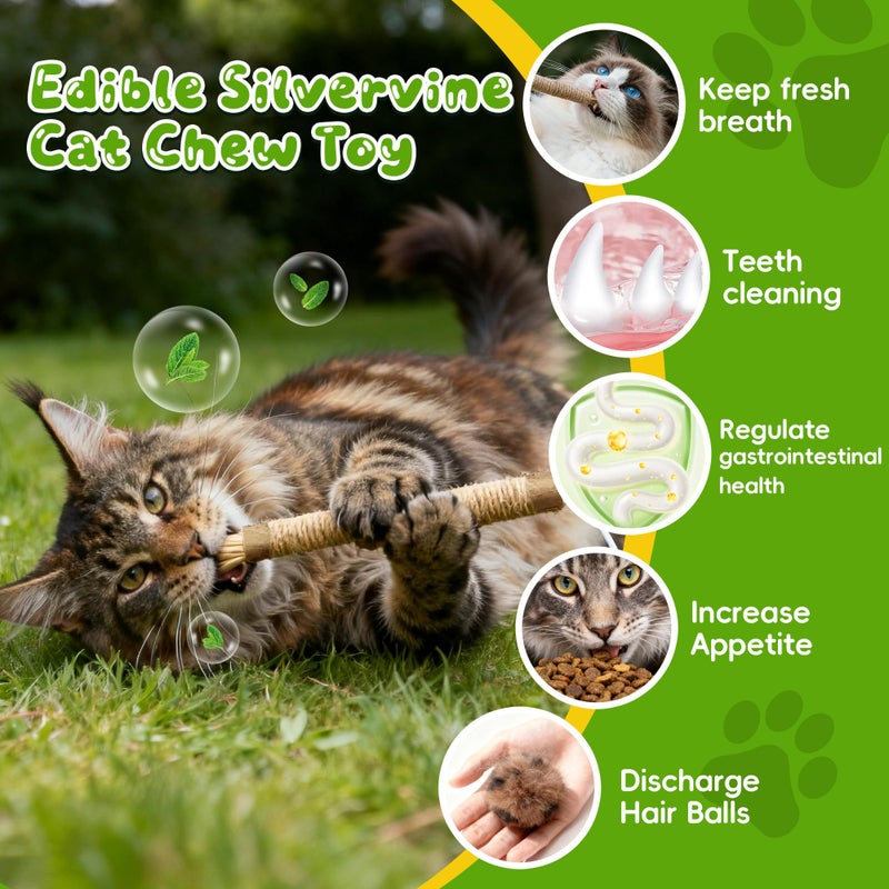 GBSYU Silvervine Sticks for Cats & Cat Chew Rope Toy with Refillable Natural Catnip Bag for Teeth Cleaning, Interactive Cat Catnip Toys for Indoor Cats, Kitten Teething Toys for All Breeds (8Pcs) - Image 3