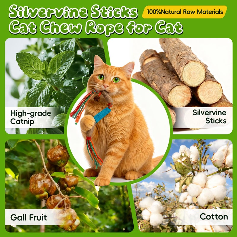 GBSYU Silvervine Sticks for Cats & Cat Chew Rope Toy with Refillable Natural Catnip Bag for Teeth Cleaning, Interactive Cat Catnip Toys for Indoor Cats, Kitten Teething Toys for All Breeds (8Pcs) - Image 2