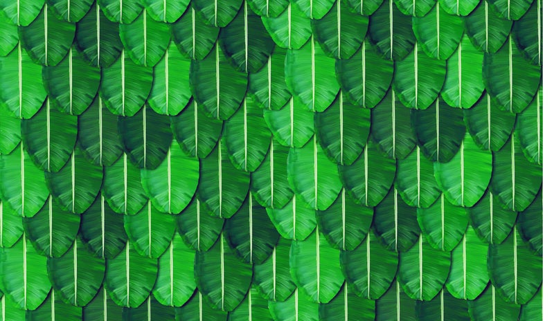 Backdropon Wedding Backdrop Cloth Banana Leaf for All Festivals/House Hold Functions/Ceremonies Banana Leaf Design(Aaritaku) Design Size 3 Feet Height and 5 Feet Width(3 * 5) - Image 2