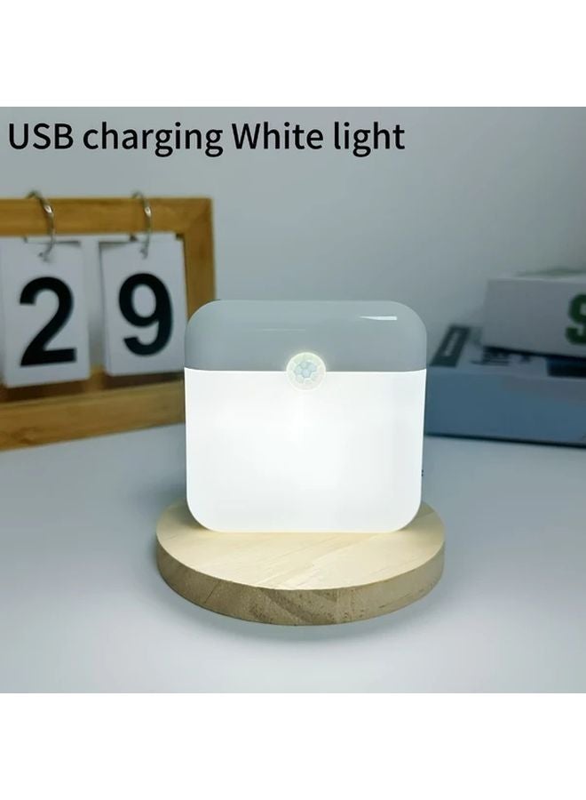 Indoor Motion Sensor LED Light USB Rechargeable Magnetic Warm White Dual Mode Lamp - Image 5