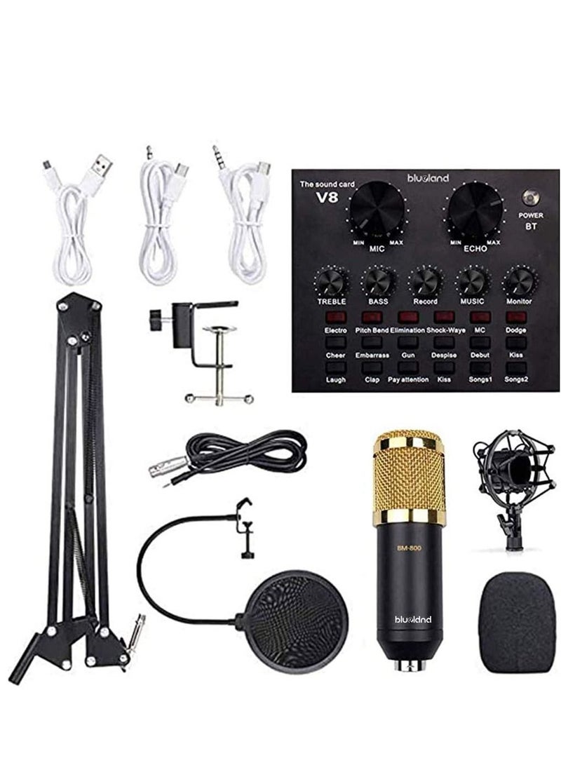 Professional BM800 Condenser Microphone Kit for PC Microphone Studio For Computer Karaoke Sound Card Recording Microphone - Image 1
