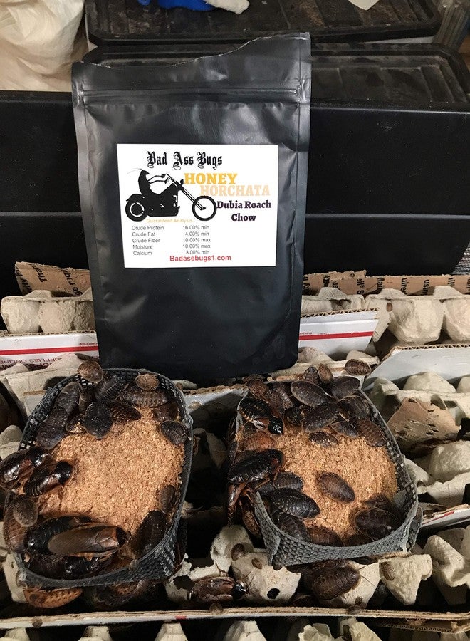 BadAssBugs™ 2LB Dubia Roach Chow Honey Horchata - Image 5