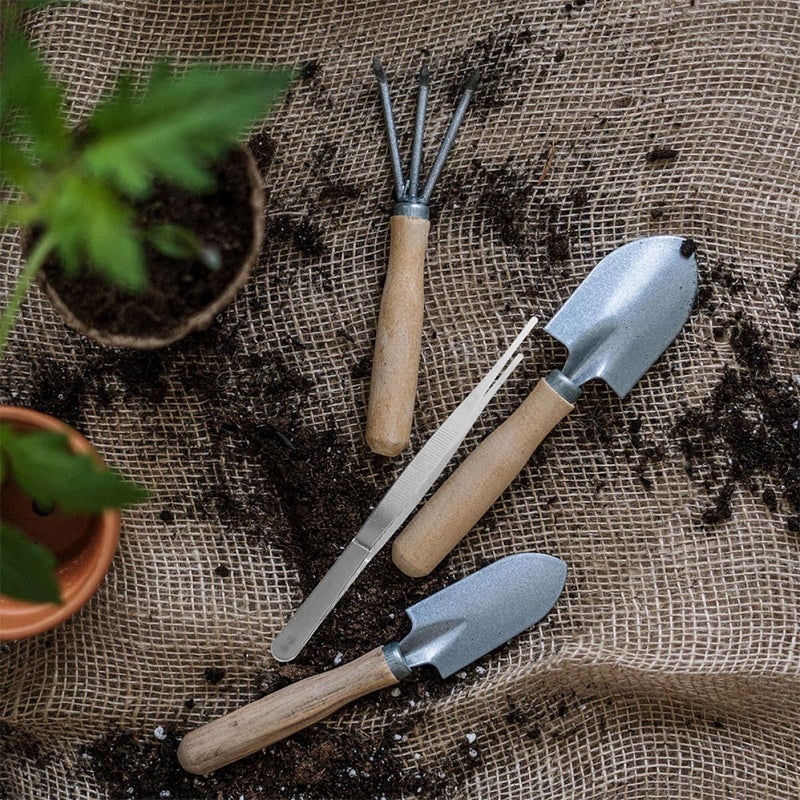 10pcs Long Handle Garden Tweezers Set With Serrated Tips For Succulent Bonsai Care - Image 5