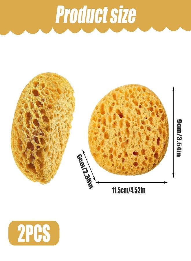 CartHome Natural Sponge For Shower, Bath Sponge, Bathing and Gentle Skin Cleansing, Large Pore High-Density Design for Use, Yellow Colour, Comfortable Touch Body Washing Accessory - Image 2