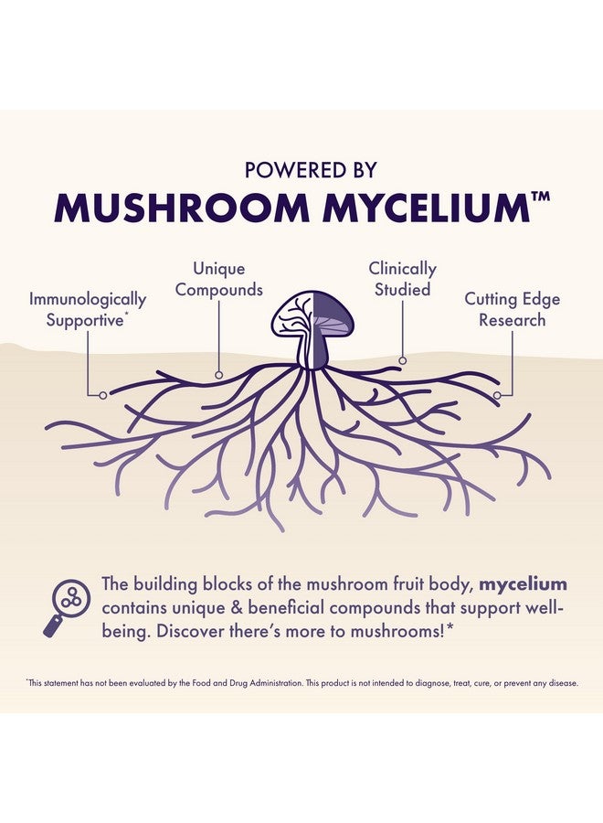 Host Defense MycoBenefits Focus Capsules - Mushroom Supplement for Brain Health Support - Neurological Function Aid for Adults - Includes Lion's Mane, Reishi & B Vitamins - 60 Capsules (30 Servings) - Image 3