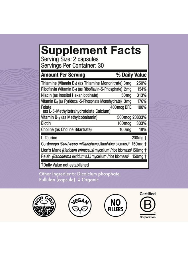 Host Defense MycoBenefits Focus Capsules - Mushroom Supplement for Brain Health Support - Neurological Function Aid for Adults - Includes Lion's Mane, Reishi & B Vitamins - 60 Capsules (30 Servings) - Image 2