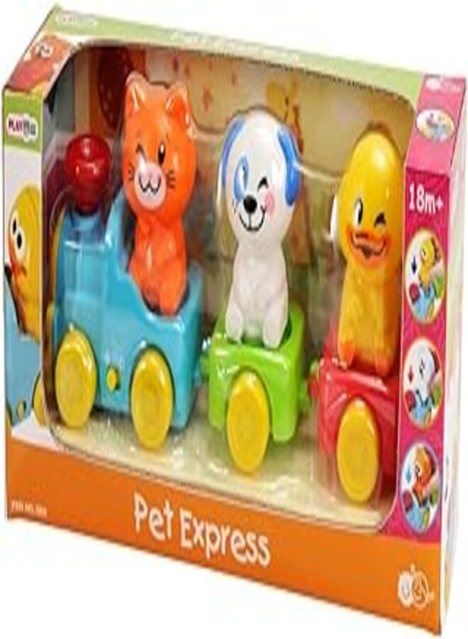 Playgo Express Play Go for pets
