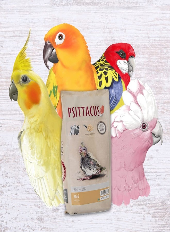 Psittacus Mini Hand-Feeding Formula 2.2 lb | Diet for Baby Cockatiels, Conures and Galah Cockatoo | Premium Food for Birds, 100% no-GMO - Image 3