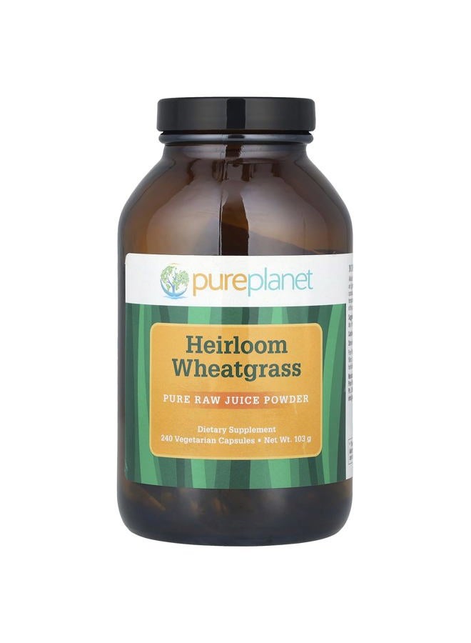 Pure Planet Heirloom Wheatgrass Vegetarian Capsules, 240 Count - Image 1
