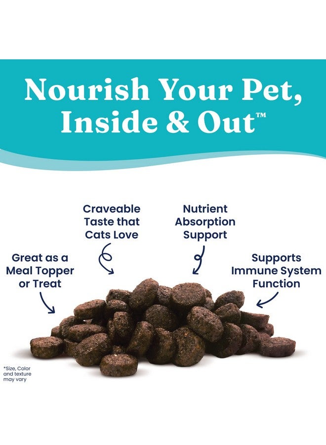 solid gold Nutrientboost Meal Topper For Cats  High Protein Crunchy Cat Treats Rich In Vitamins Minerals And Amino Acids  1 Pound - Image 2