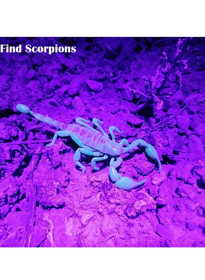 Blacklight UV Flashlight, 21 LED, 395nm, Portable Black Light for Pet Urine Detection, Scorpion, Resin Curing, Bed Bug Detection, Nail Art - Image 4