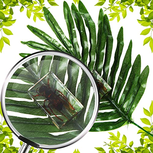 Macarrie 12 Pcs Insect Specimens, Bugs Collection Real Specimens of Butterflies and Beetles Made of Resin for Kids Classroom Science Education Animal Collection, Bug Preserved, Biology(Insect) - Image 5