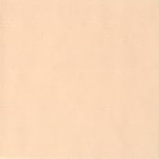 Holbein Acryla Gouache 20ml Pale Peach - Image 2