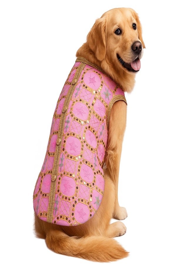 Pawsindia Traditional Desi Diva Sherwani for Dogs - Ethnic for Pets - Perfect for Indian Festivals, Weddings & Celebrations - Image 1