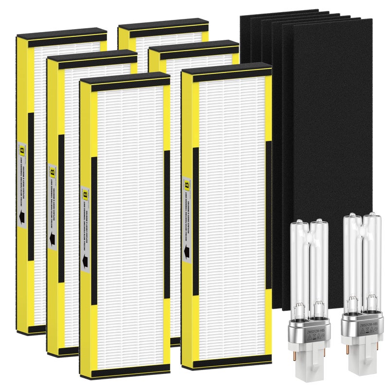 FMDZFL 6 Packs FLT4825 HEPA Replacement Filter B  2 Replacement Bulb Compatible with AC4825 AC4300 AC4800 AC4900 AC4850 Part No FLT4825 LB4000