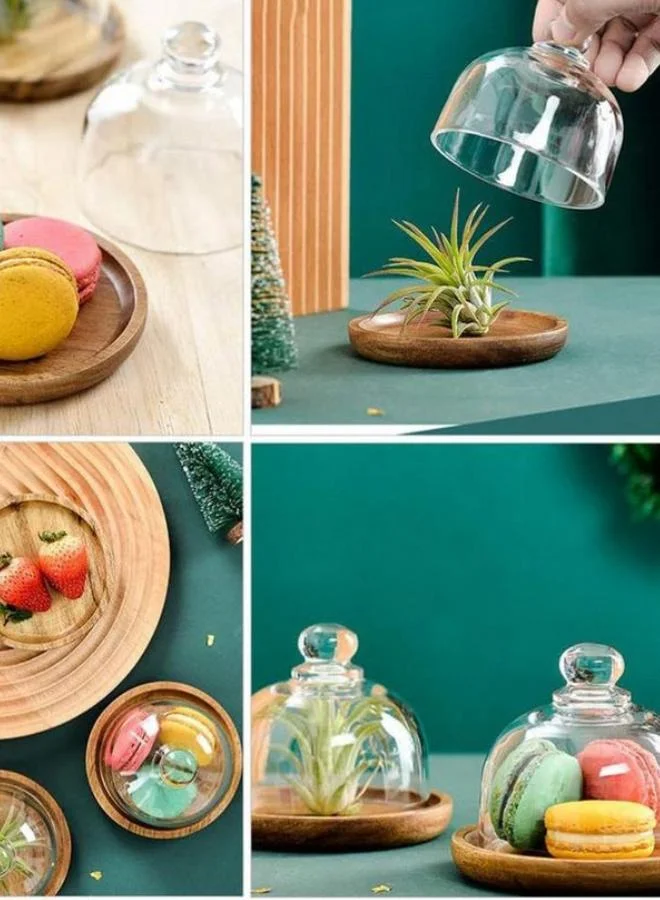 Casa Quesera Quesera 4 Pack Acacia wood platter  with Glass Dome, Glass Dome with Wooden Base, Mini Cake Dome Covers for Cheese Candy Dessert