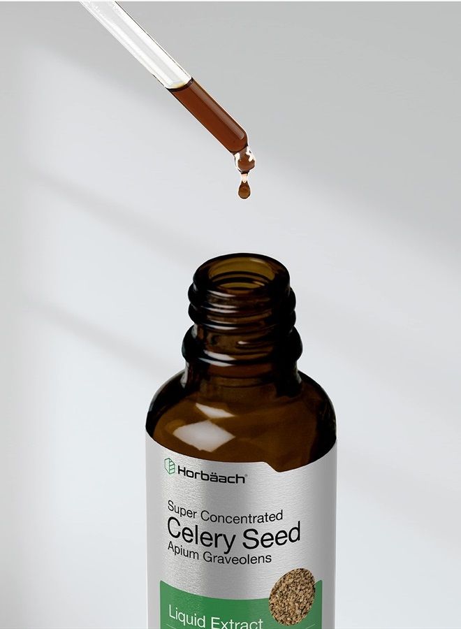 Celery Seed Extract | Liquid Drops | 2 fl oz Tincture | Apium Graveolens | Vegetarian, Non GMO & Gluten Free | by Horbaach