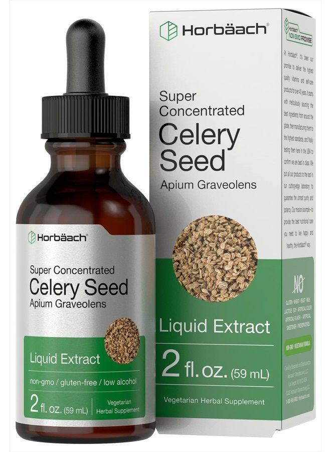 Celery Seed Extract | Liquid Drops | 2 fl oz Tincture | Apium Graveolens | Vegetarian, Non GMO & Gluten Free | by Horbaach