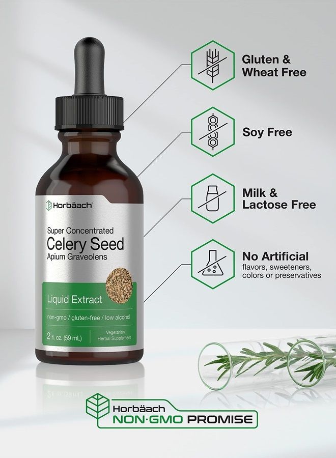 Celery Seed Extract | Liquid Drops | 2 fl oz Tincture | Apium Graveolens | Vegetarian, Non GMO & Gluten Free | by Horbaach